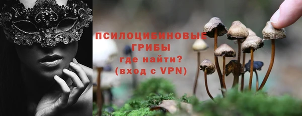 бошки Нея