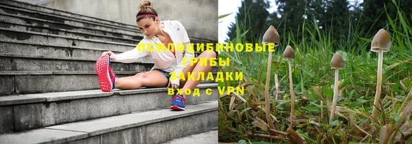 ПСИЛОЦИБИНОВЫЕ ГРИБЫ Нефтегорск