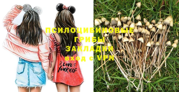 бошки Нея