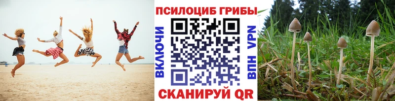 Псилоцибиновые грибы Cubensis  Оленегорск 